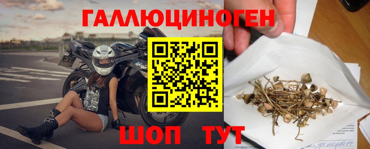 Можга  Псилоцибиновые грибы Psilocybine cubensis  закладки  Вход с VPN 