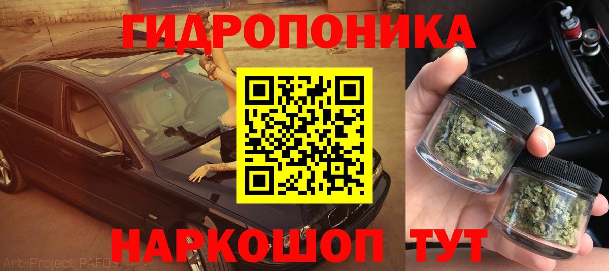Бошки марихуана SATIVA & INDICA Можга
